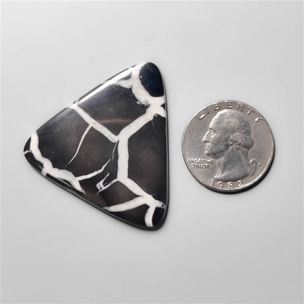 Black Septarian Fossil