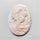 Pink Conch Shell Cameo Carving