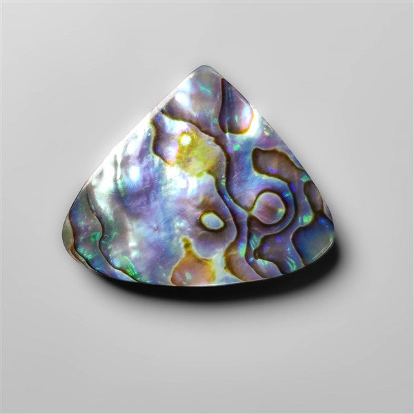 Abalone Shell