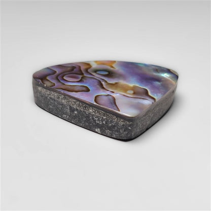 Abalone Shell
