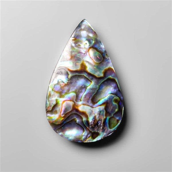 Abalone Shell