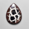 Black Septarian Fossil