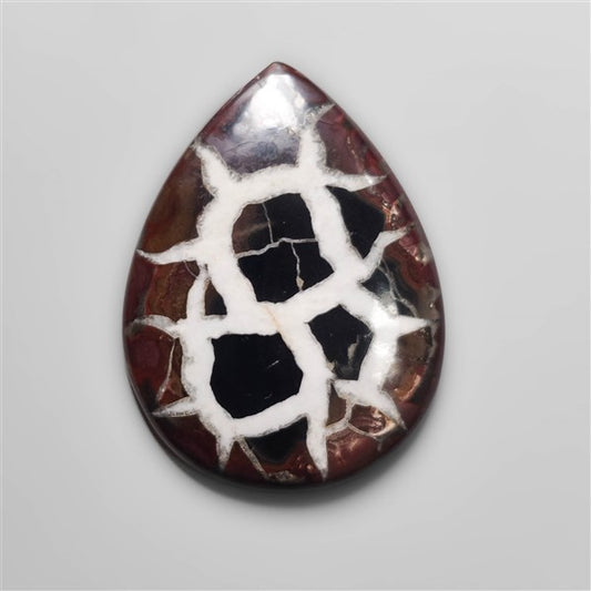 Black Septarian Fossil