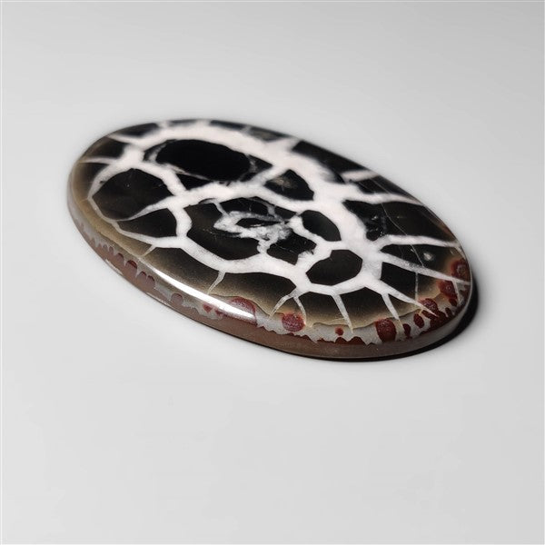 Black Septarian Fossil