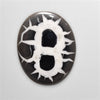Black Septarian Fossil