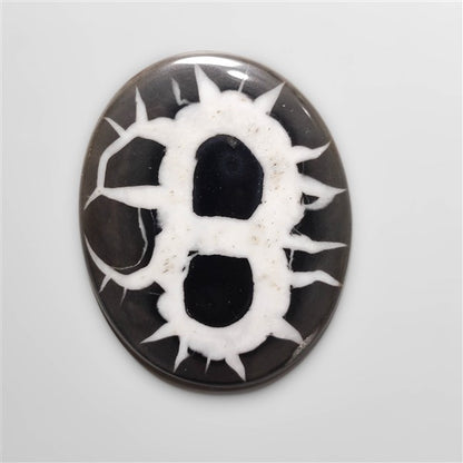 Black Septarian Fossil