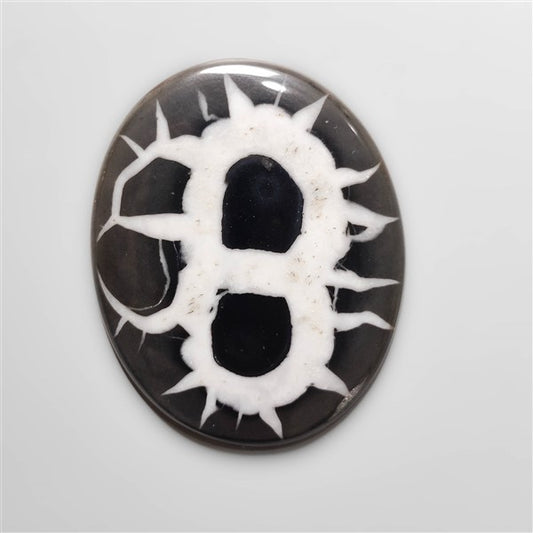 Black Septarian Fossil