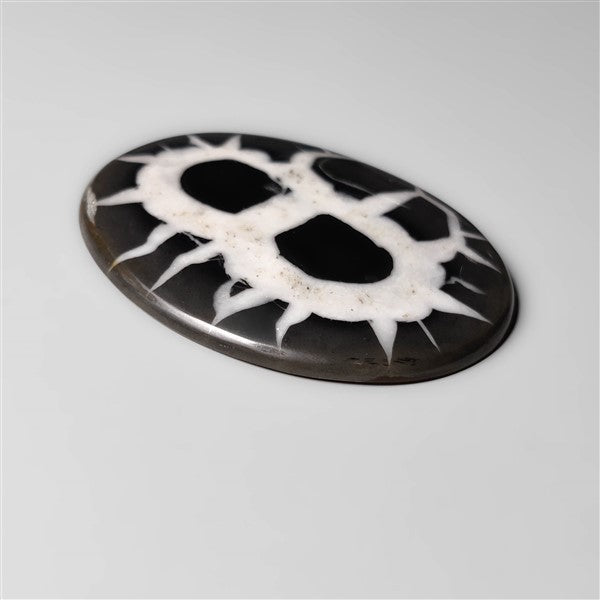 Black Septarian Fossil