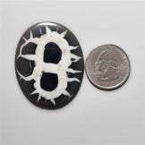 Black Septarian Fossil