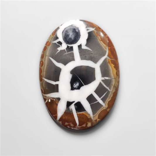 Black Septarian Fossil