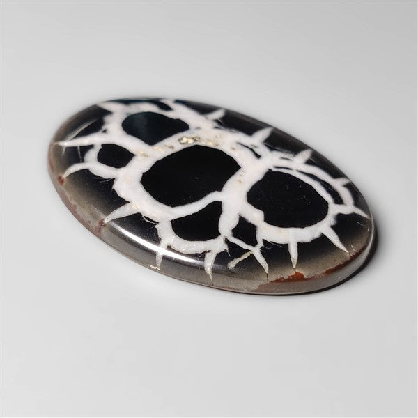 Black Septarian Fossil