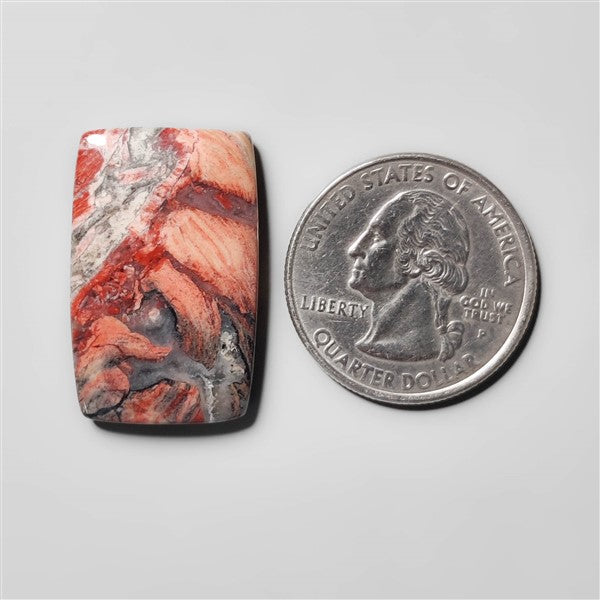 Snakeskin Jasper