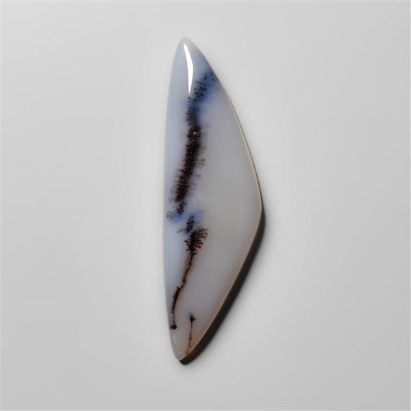 Dendritic Agate