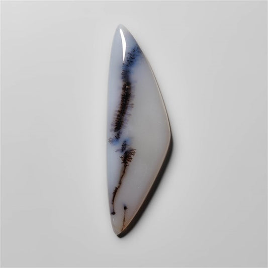 Dendritic Agate