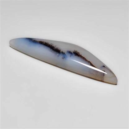 Dendritic Agate
