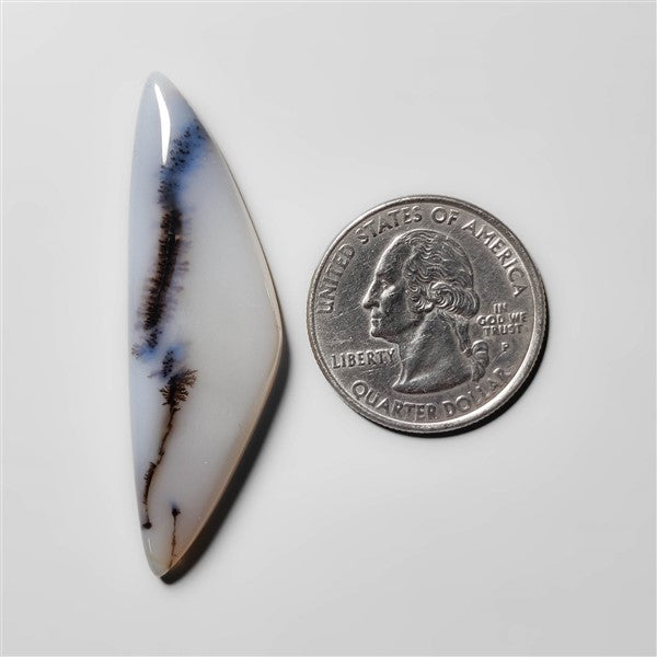 Dendritic Agate