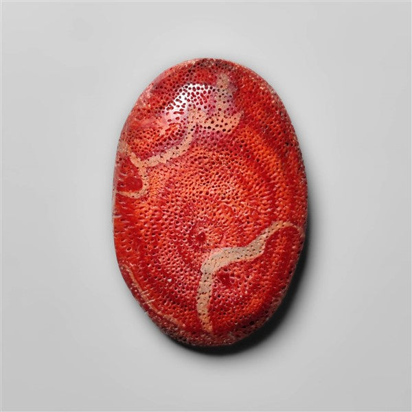 Natural Red Coral