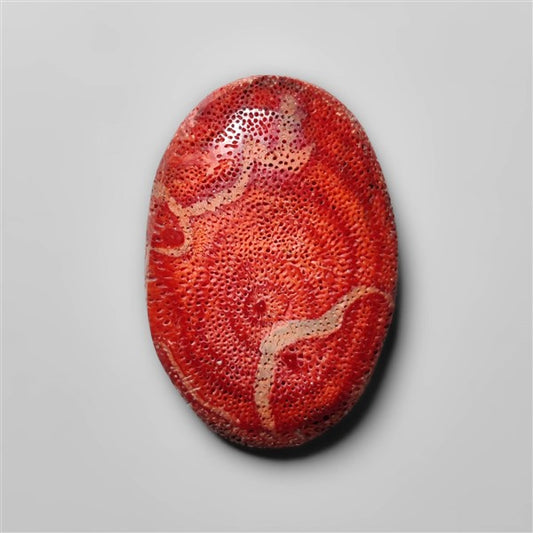 Natural Red Coral