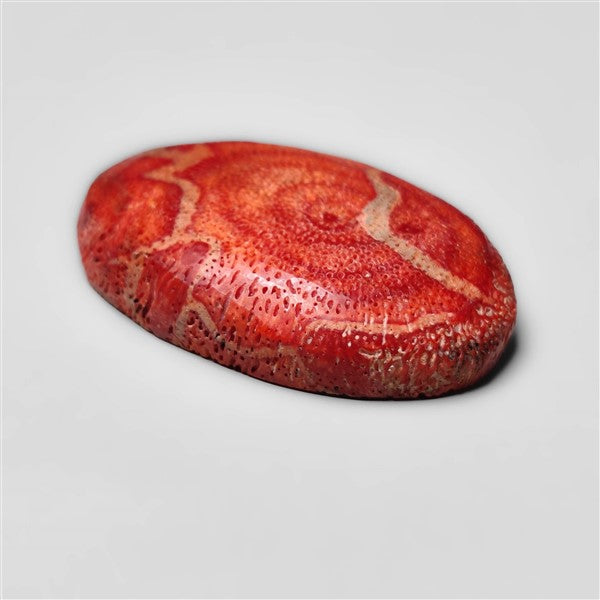 Natural Red Coral