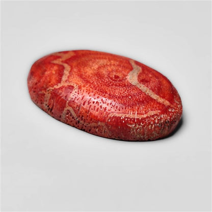 Natural Red Coral