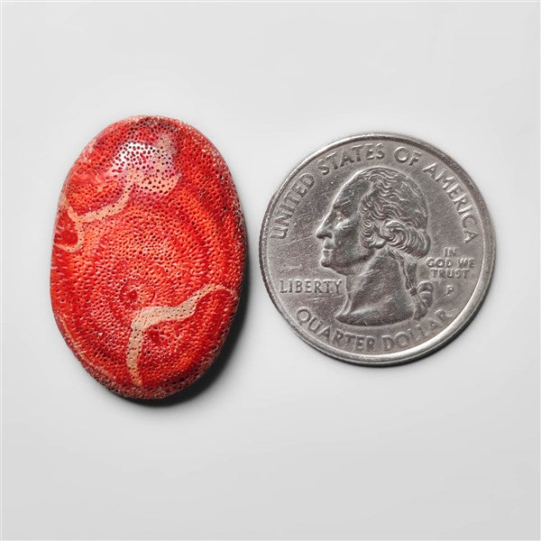 Natural Red Coral