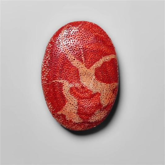 Natural Red Coral