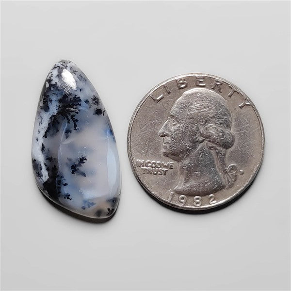 Dendritic Agate