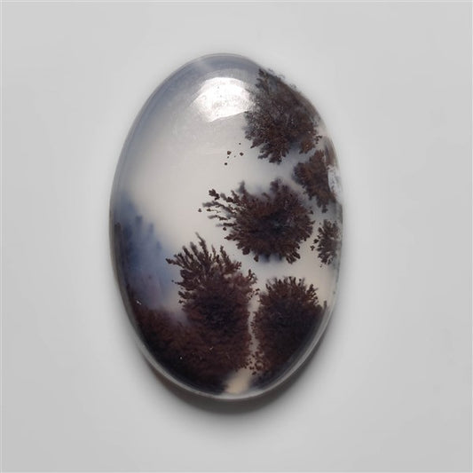 Dendritic Agate