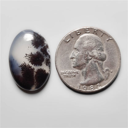 Dendritic Agate