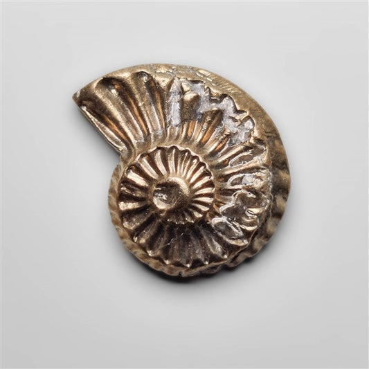 Rare Pyritized Ammonite Negative Fossil