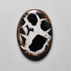 Black Septarian Fossil