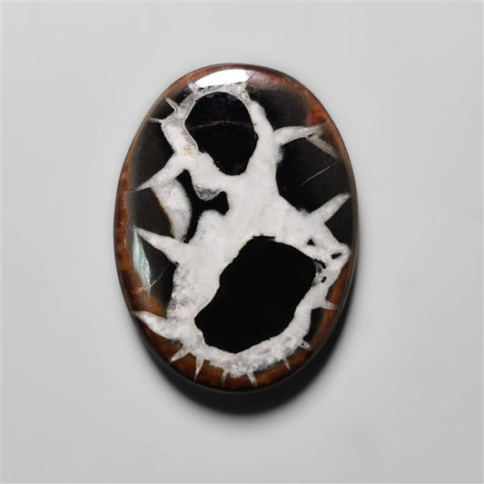 Black Septarian Fossil