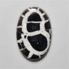 Black Septarian Fossil