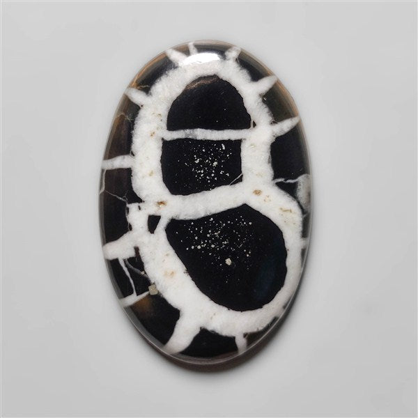 Black Septarian Fossil