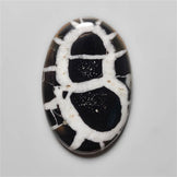 Black Septarian Fossil
