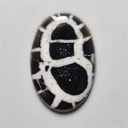 Black Septarian Fossil