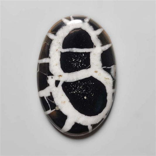 Black Septarian Fossil