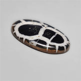 Black Septarian Fossil