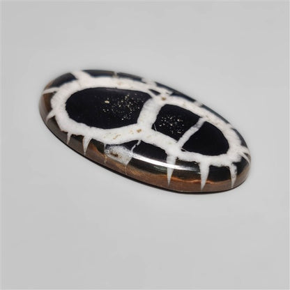 Black Septarian Fossil