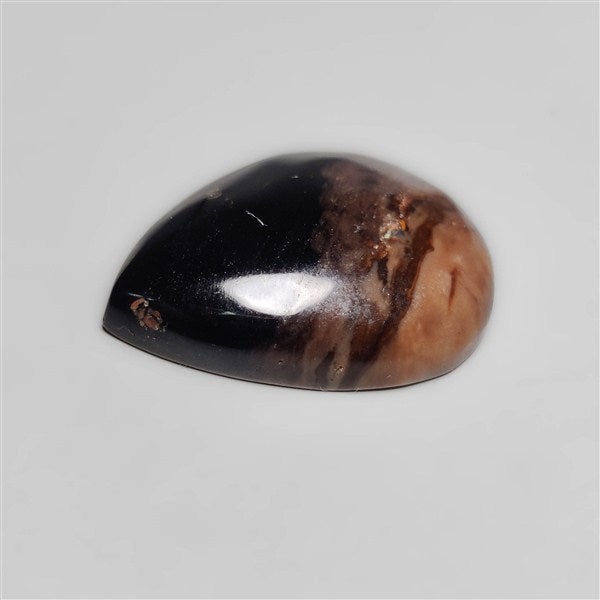 Indonesian Palmroot Agate