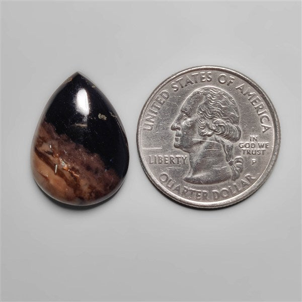 Indonesian Palmroot Agate