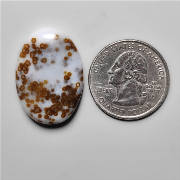 Polka Dot Agate