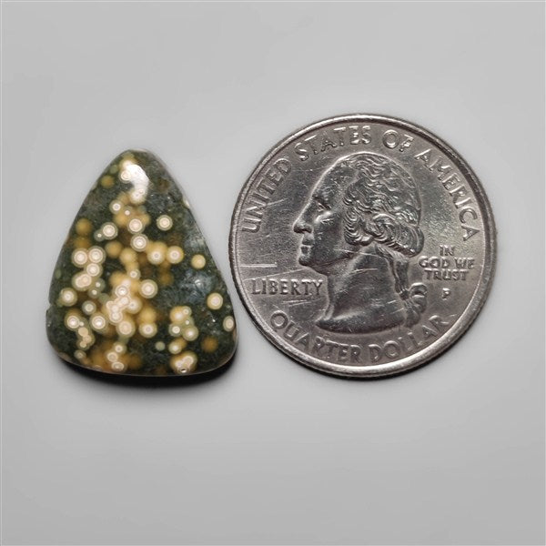 Orbicular Ocean Jasper