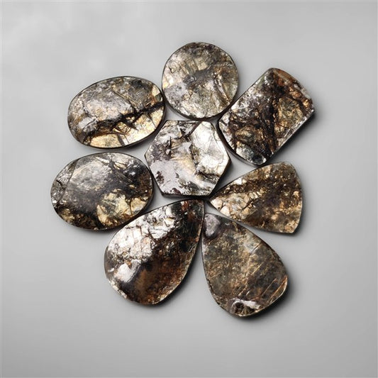 Raw Face Himalayan Crystal Mica Lot