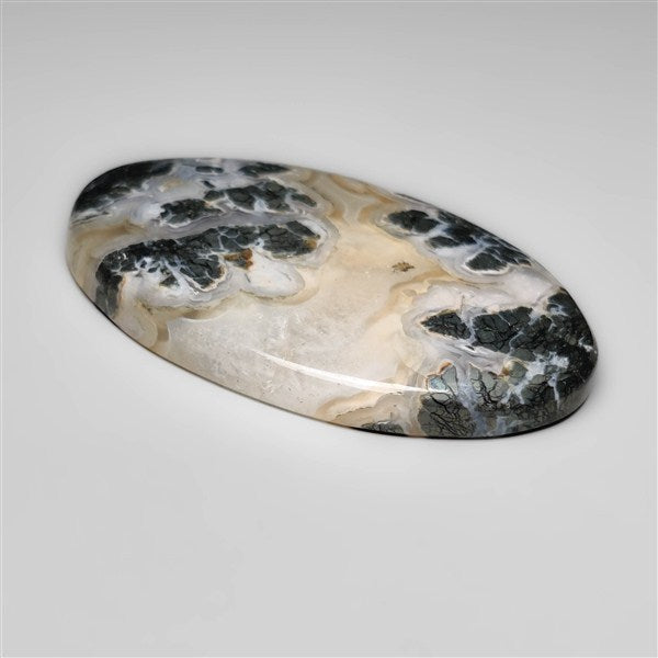 Nipomo Marcasite with Quartz