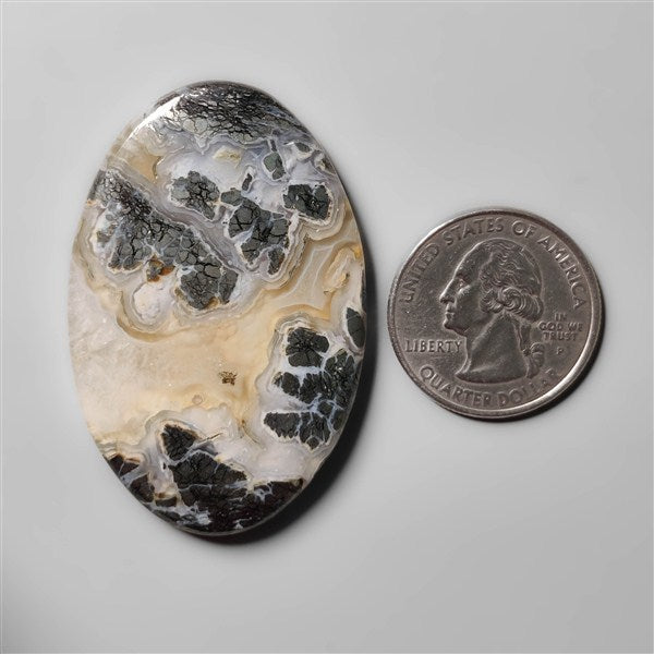 Nipomo Marcasite with Quartz