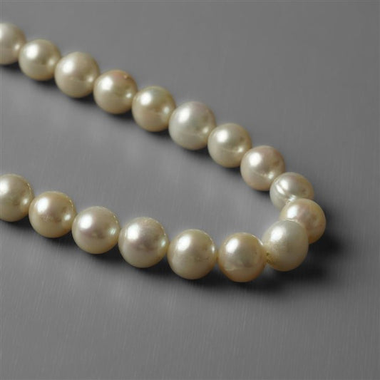 Beads Lines|Pearl