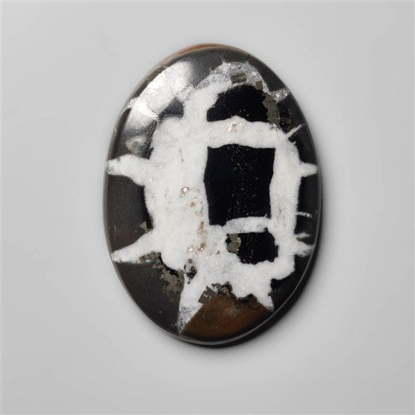 Black Septarian Fossil