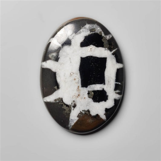 Black Septarian Fossil