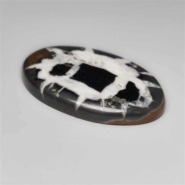 Black Septarian Fossil